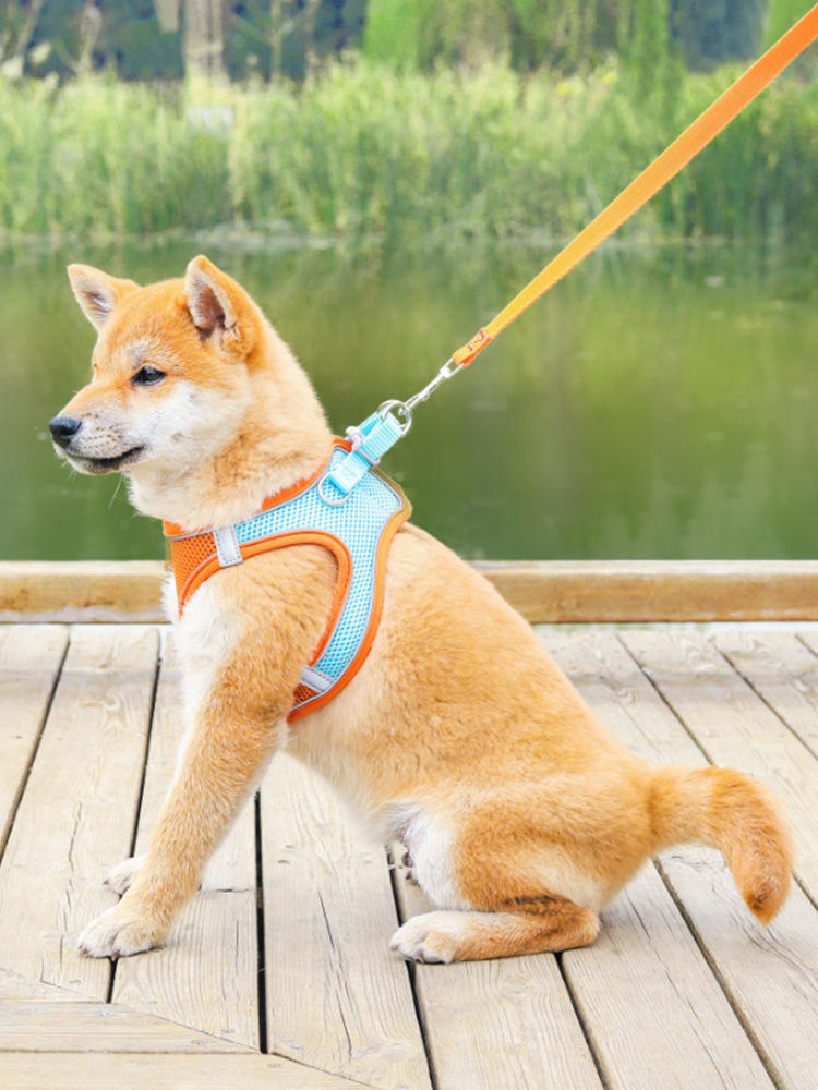 Pet Supplies Vest Pet Leash Cat Dog Chest Strap Breathable Reflective Dog Walking Chain — image 3
