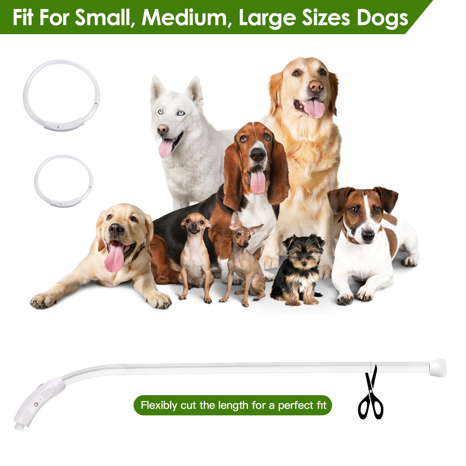 Collar de Perro LED Recargable con Iluminación Multicolor para Caminatas Nocturnas Seguro para Pequeños, Medianos y Grandes Perros — imagen 3