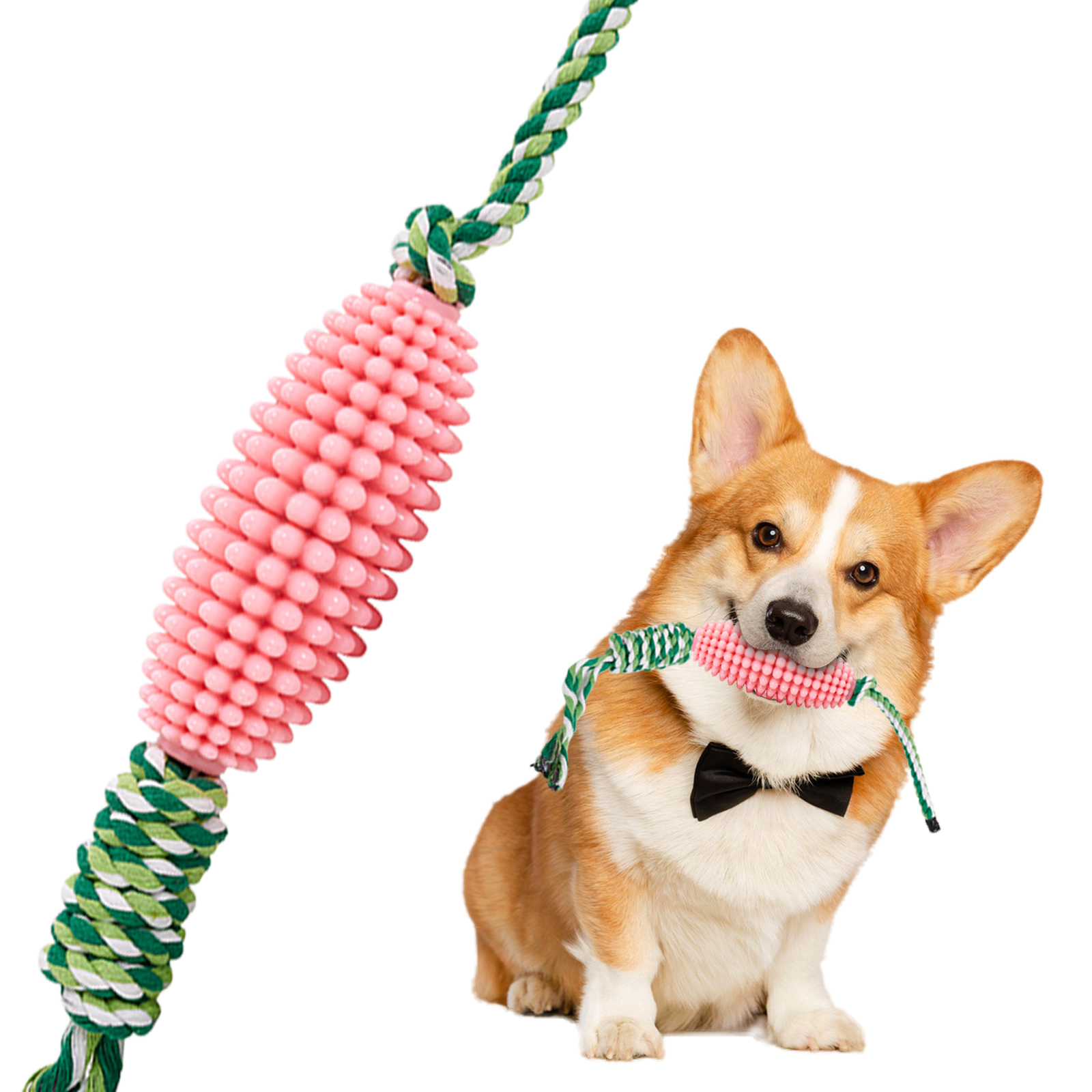 Cepillo Dental Interactivo para Perros con Juguetes de Maíz para Cerdos Agresivos — imagen 1