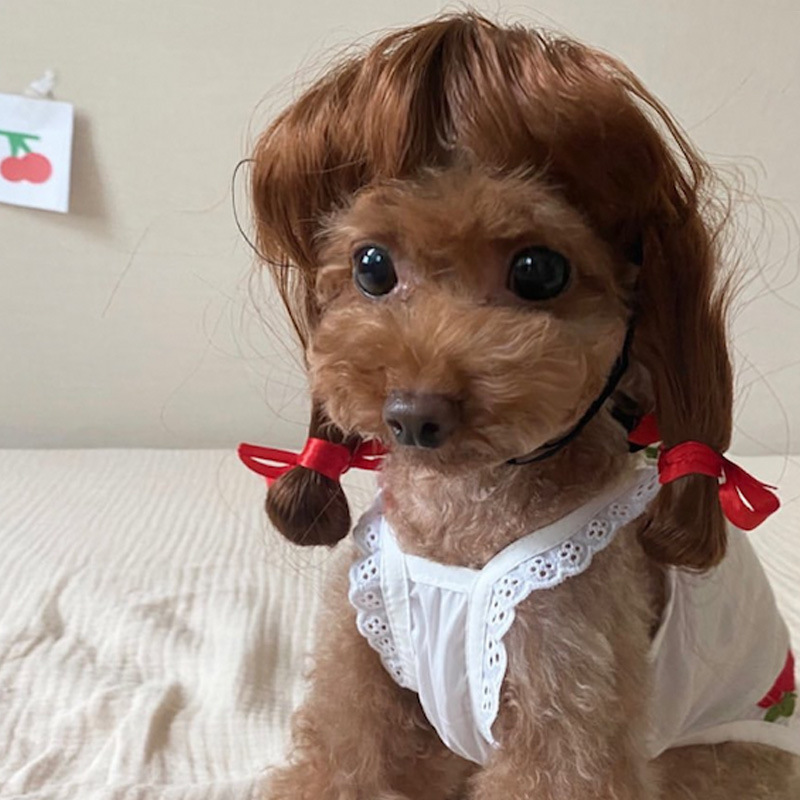 Accesorio de peluche para mascotas con pelo rizado y liso para Halloween — imagen 10