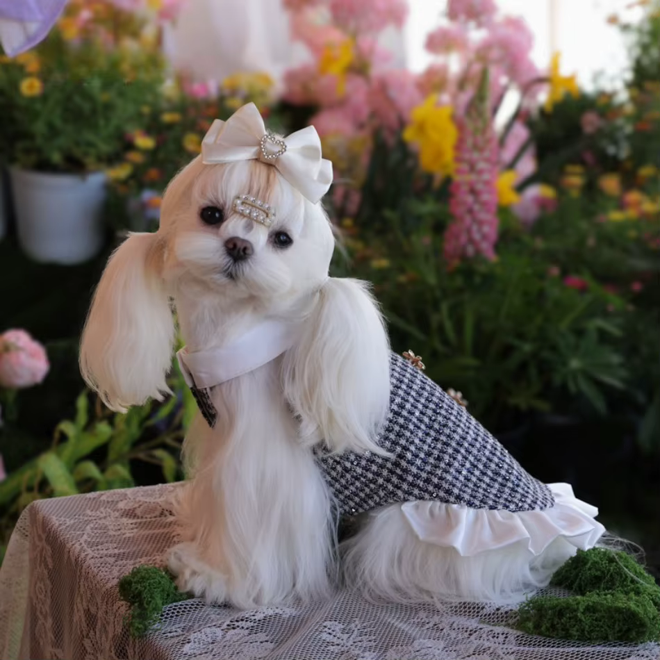 Cat Dress Puppy Pet Apparel Small Dog Clothes Winter Chihuahua Yorkie Pomeranian Yorkshire Terrier Shih Tzu Maltese Dog Clothing — image 1