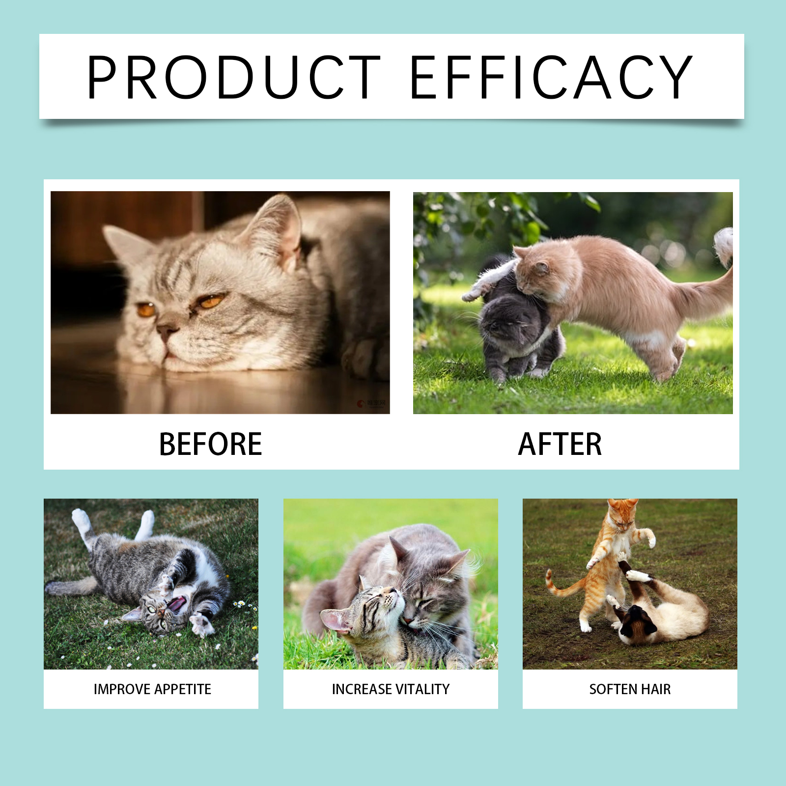 Suplementos Probióticos para Gatos en Tabletas - Apoyo a la Salud Intestinal y Digestiva con Vitamina B2 y Selenio, Cuidado Inmunológico, Piel y Visión — imagen 6