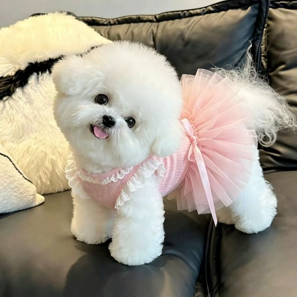 Vestido de Tutu de Encaje Rosa para Mascotas: Cómodo, Transpirable, Princesa de Gato, Ropa de Verano — imagen 2