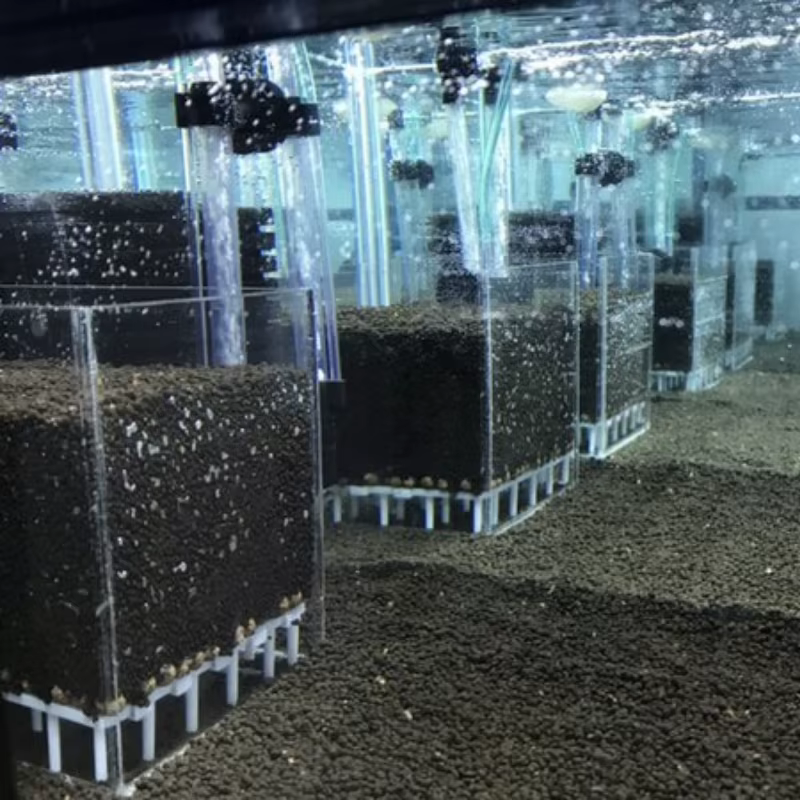 Sistema de Filtro Acetato Transparente para Camarones y Pez, Caja Cuadrada UGF para Acuario con Pasto de Agua — imagen 2