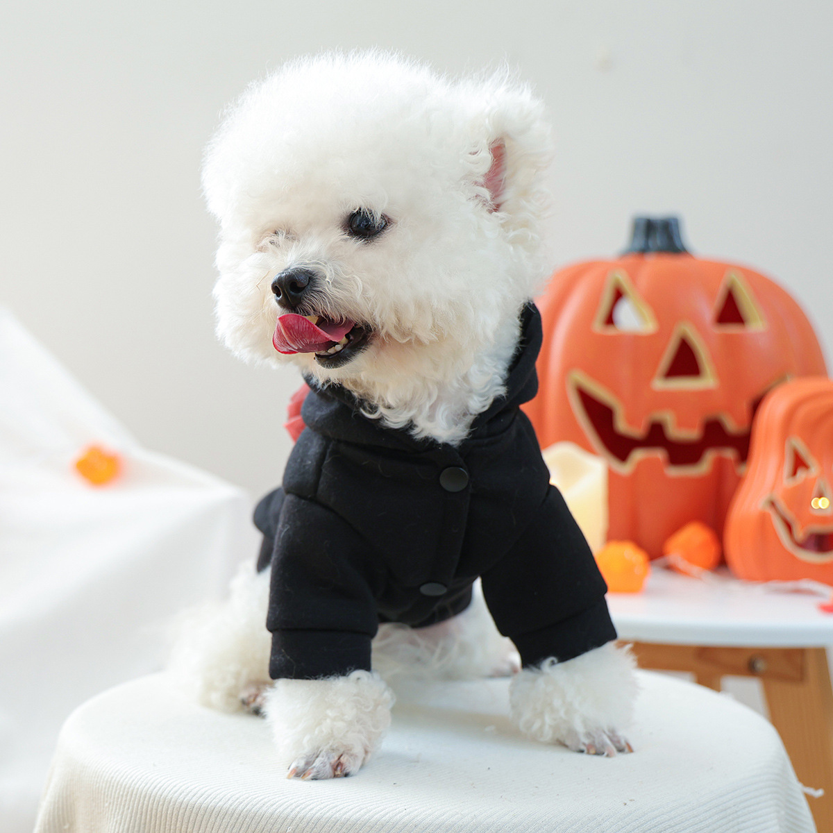 Pet Clothes for Small Dogs and Puppies, Dark Style Festival Outfit, Silver Skull Halloween Hoodie — image 4