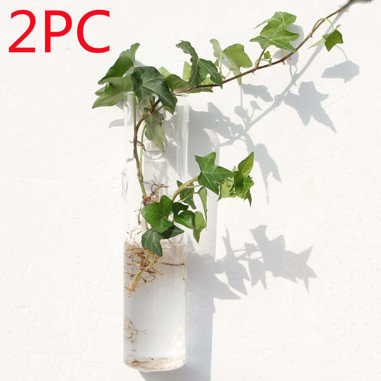 Vaso de Vidrio para Terrario Decorativo en Línea - Jardín Acuático para Hogar — imagen 32
