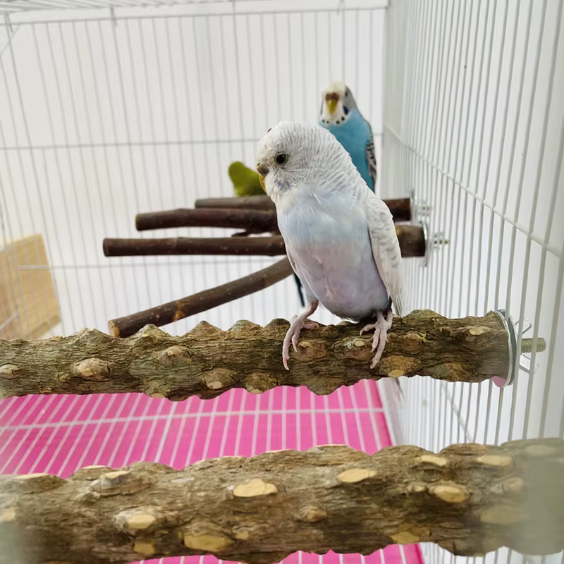 10/15/20 cm Bird Claw Beak Grinding Bar Standing Stick Claw Bird Supplies Cage Accessories Parrot Station Grinding Standing — image 2