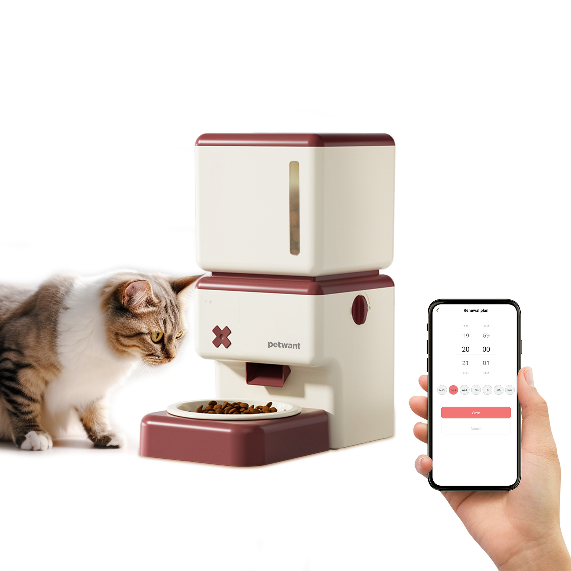 Wireless pet automatic feeder Paiwang patent spot mobile app remote cat and dog feeding machine — image 2