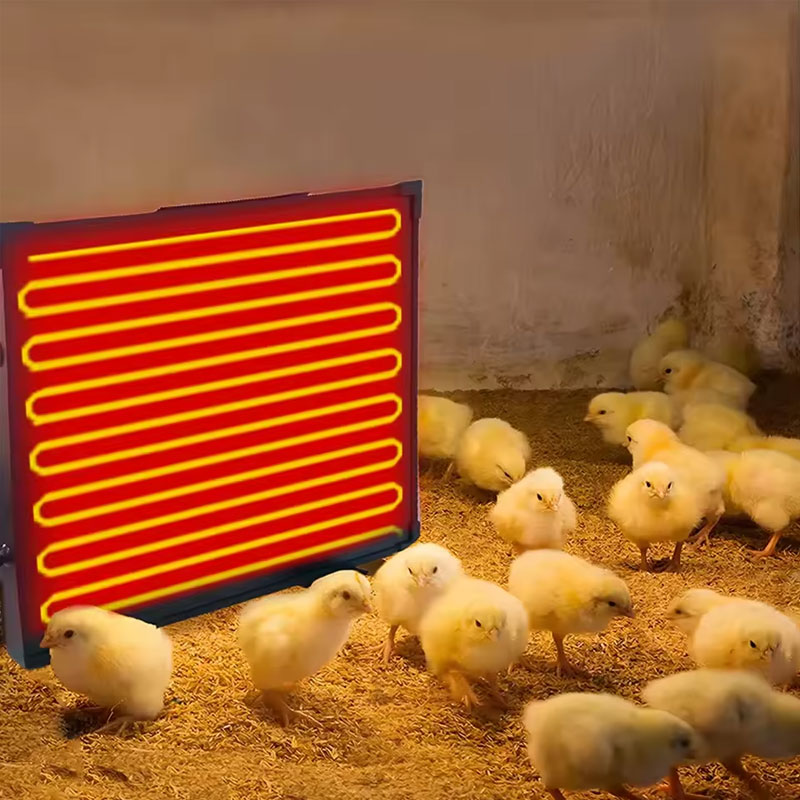 Panela de Calor Térmica 160W para Galpón de Pollos, Calentador Radiante con Termostato 0-99°C para Granjas de Invierno — imagen 5