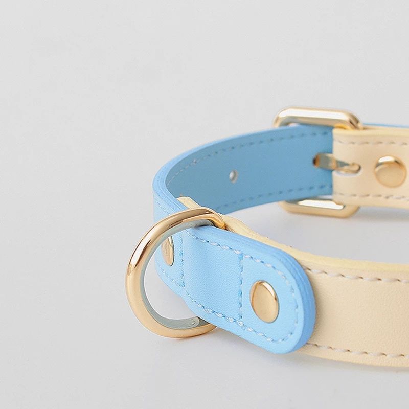 Genuine Leather Pet Dog Cat Collar Leash Dog Rope Dog Chain Dog Belt Pet Supplies — image 5