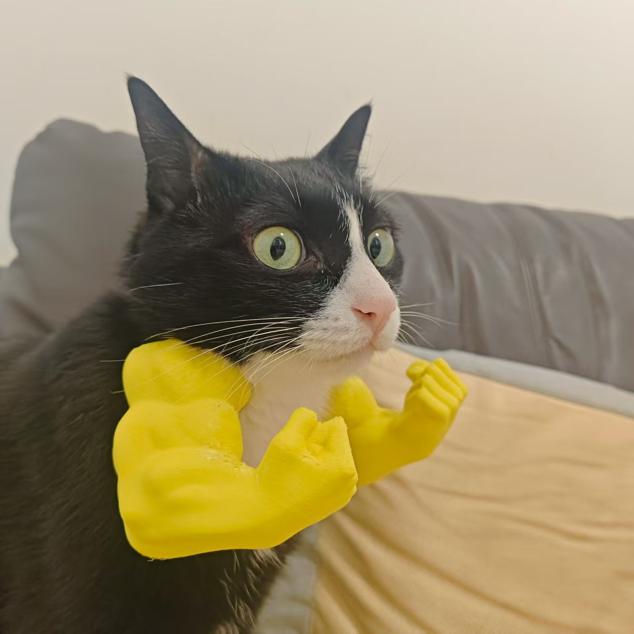 Hulk Cat Arm Pet Dog Toy Photography Prop 3D Printed Cute Funny Creative Cat Costume Backpack — image 10