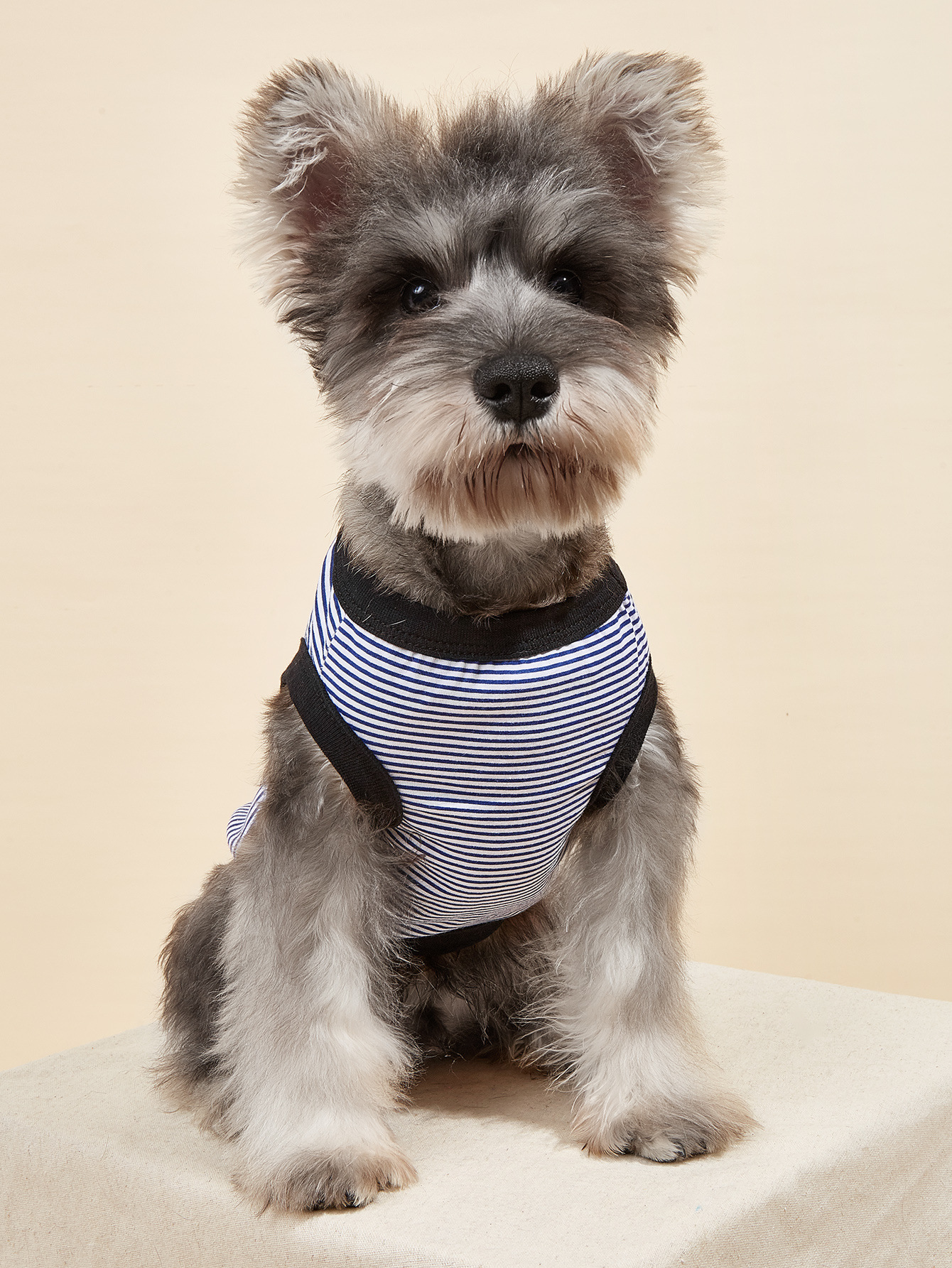 Summer New Dog Clothes Pet Clothing Striped Round Neck T-Shirt Small And Medium Dog Pomeranian Teddy Thin Section — image 1