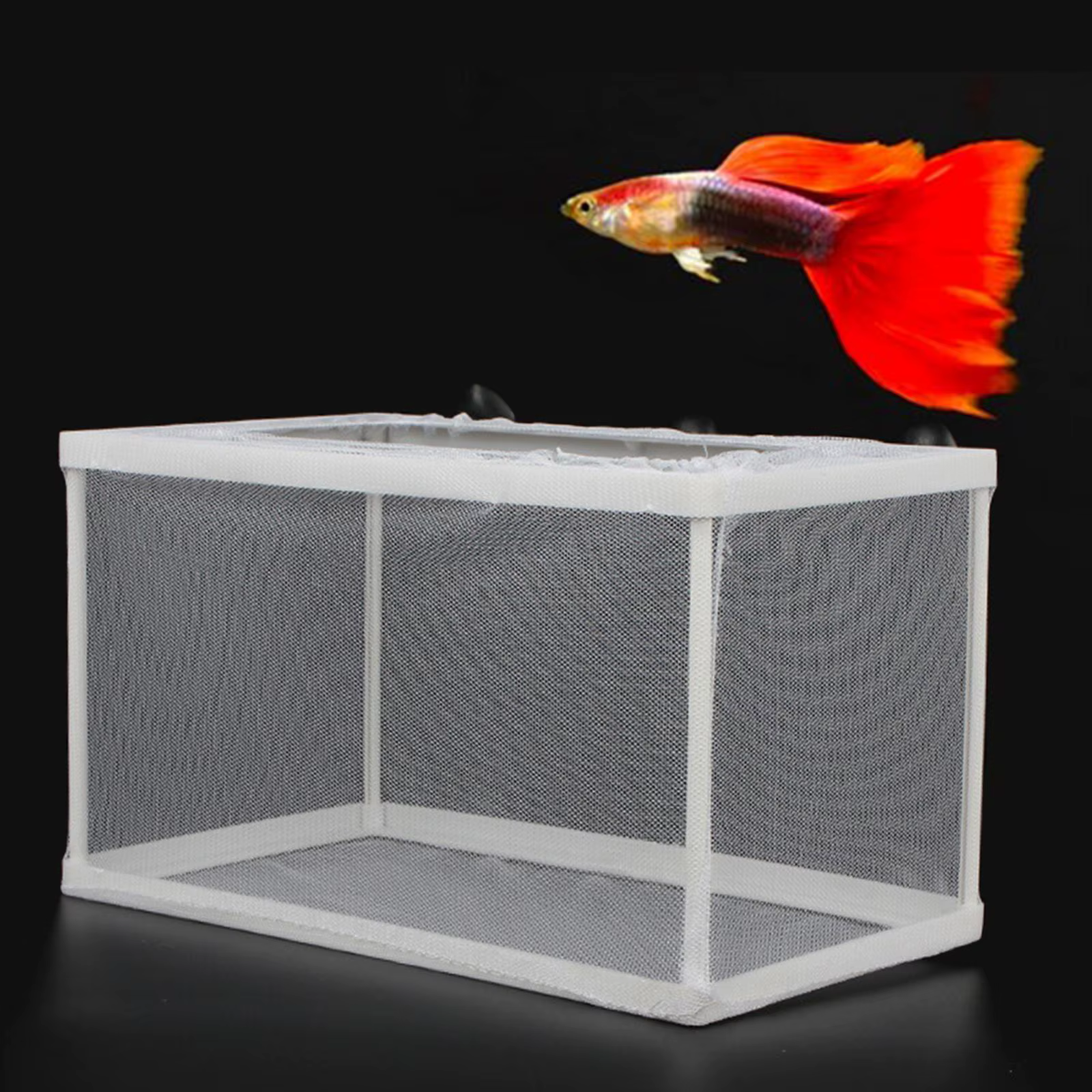 Caja de separación para peces criadores - Aislamiento para juveniles y alevines recién nacidos de peces, red de incubación para cría de larvas de peces — imagen 3