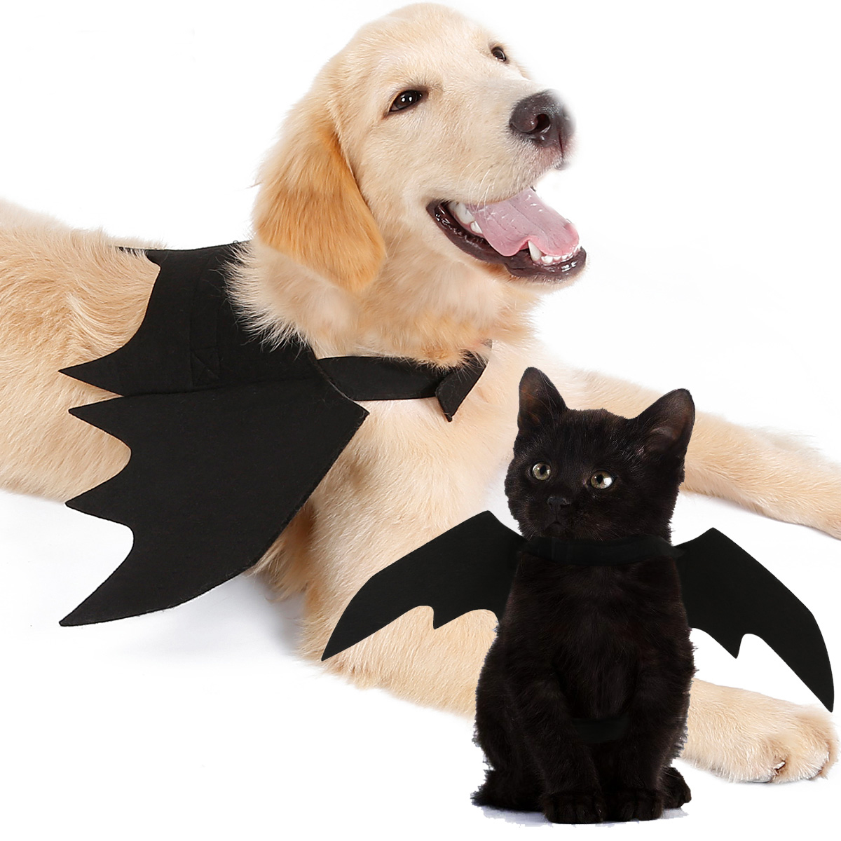 Disfraz de Murciélago para Perros - Ropa de Halloween para Mascotas — imagen 1
