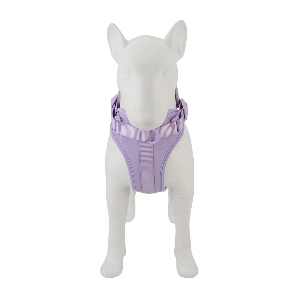 Dog Harness Outdoor Walk Training Fashion Pet Chest Strap Pet Harenss for Small Medium Dog — image 3