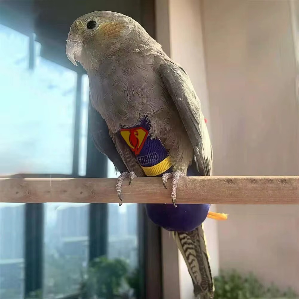 For Parakeet Cockatiel Pigeons Cloth Pet Accessories Birds Flight Suit Parrot Diaper Parrot Urine Pants Birds Clothes — image 4