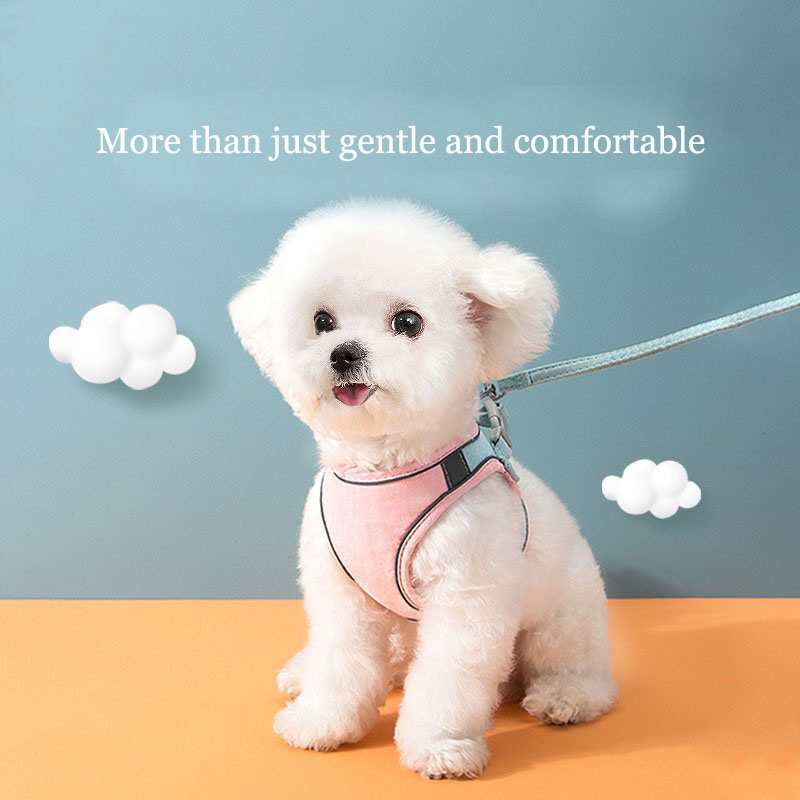 Pet leash vest style cat universal chest strap dog chain dog supplies for walking cats and dogs rope — image 7