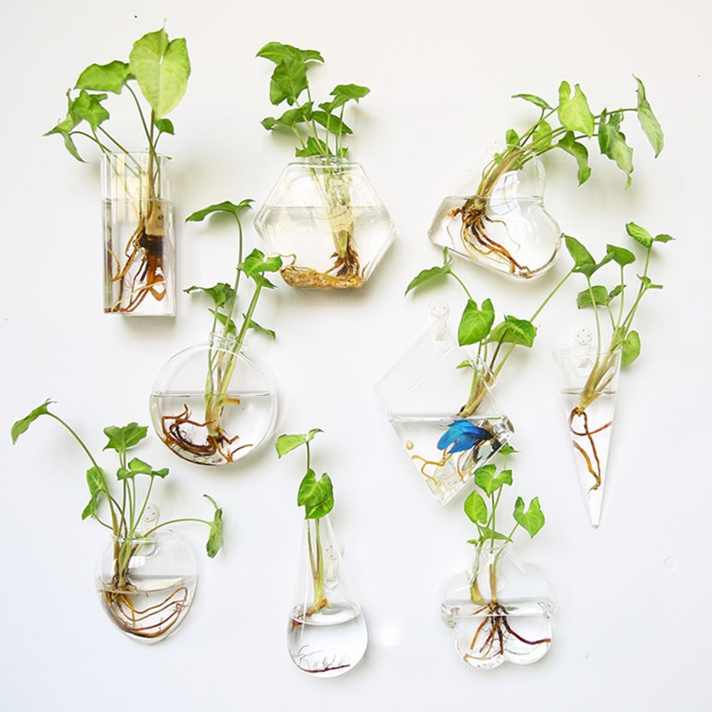 Vaso de Vidrio para Terrario Decorativo en Línea - Jardín Acuático para Hogar — imagen 18