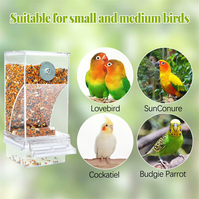 No Mess Bird Feeders Automatic Parrot Feeder Drinker Acrylic Seed Food Container Cage Accessories For Small And Medium Parakeets — image 5