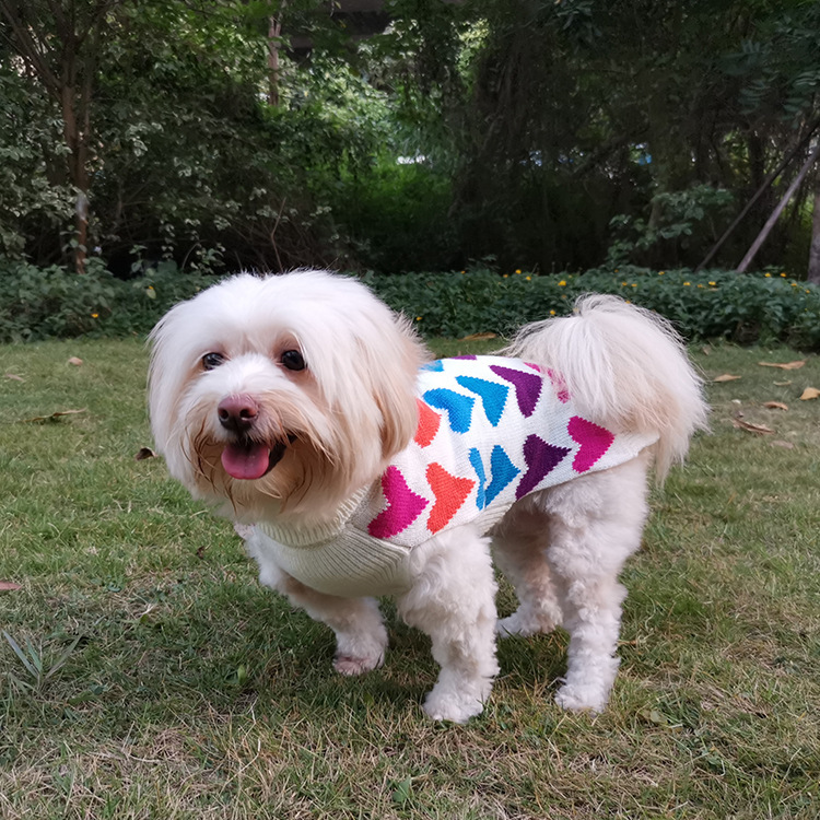 Ropa de Mascotas Clásica con Manga Lapel y Diseño Cómico de Corazones para Perros - Suéter de Invención Primavera y Otoño — imagen 1