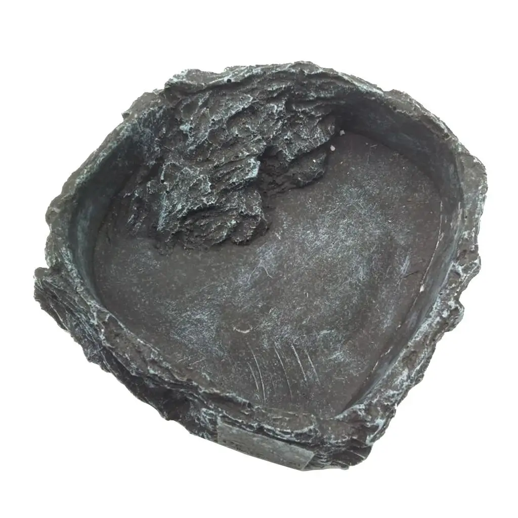 Comida y Accesorios para Reptiles y Anfibios - Plato de Tortuga y Escorpión