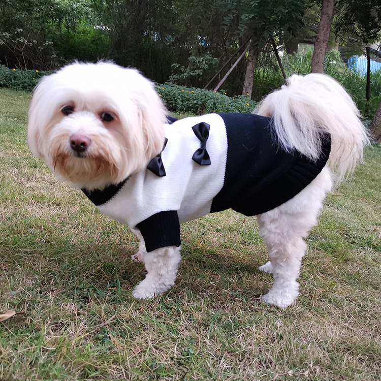 New Pet Clothes Black And White Bow Sweater Teddy Bear Pet Puppy Clothes — image 3