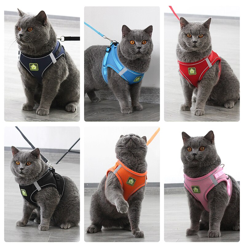 Reflective Cat Harness Leash Set Adjustable Harness Leashes Vest For Puppy Cats Walking Breathable Mesh Chest Strap Pet Product — image 6