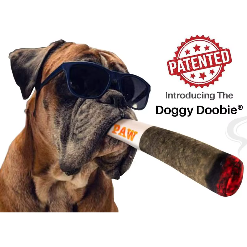 Dog toy - Funny Dog Toys - Plush Squeaky Toys for Medium, Small and Large - Cool Stuffed for Dog Birthday hj — image 2