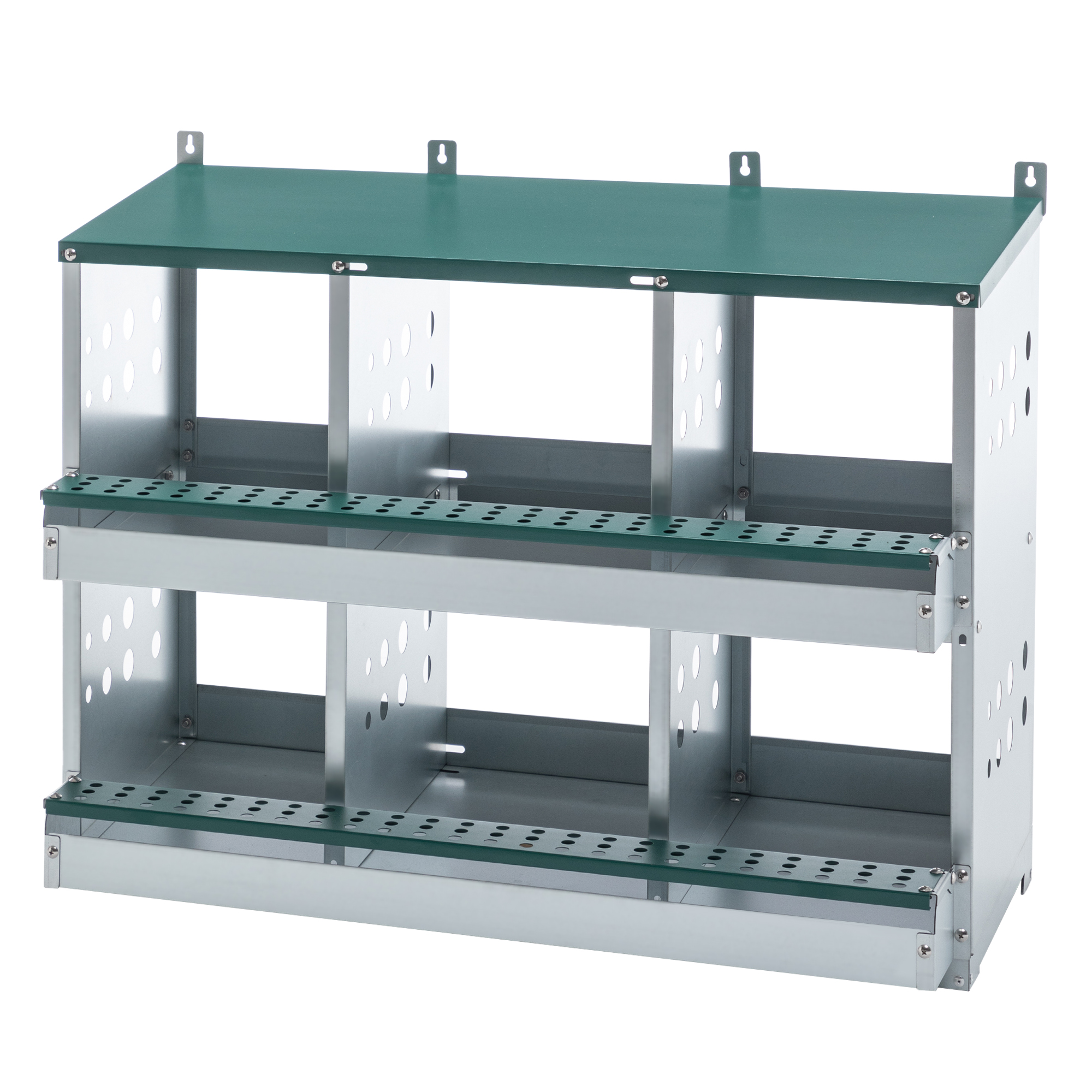 Caja de Puesta para Pollos con 6 Compartimentos Verde - Llegada Automática y Fácil Limpieza — imagen 4
