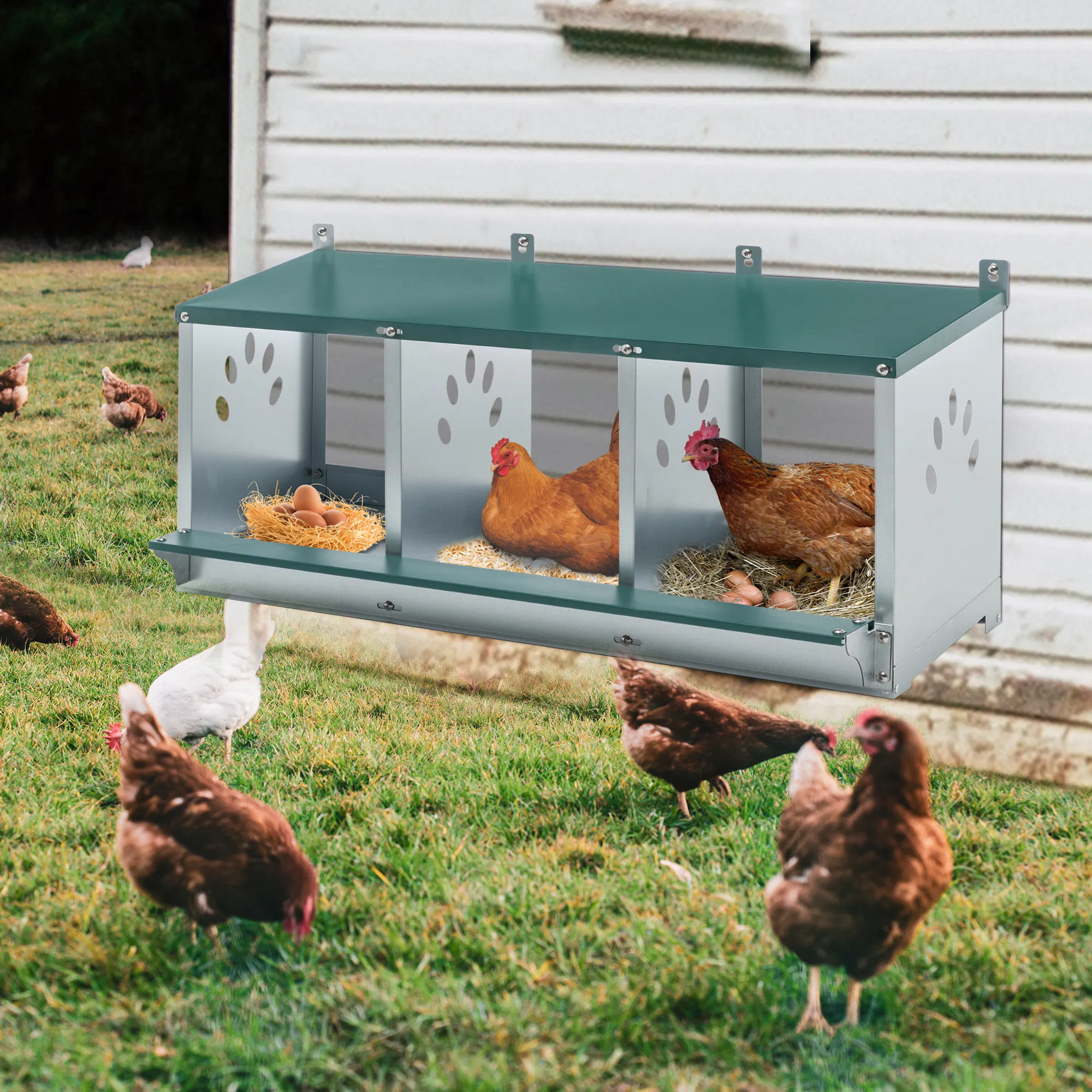 3 Room Metal Chicken Nesting Boxes 3 Compartment Egg Coop — image 3