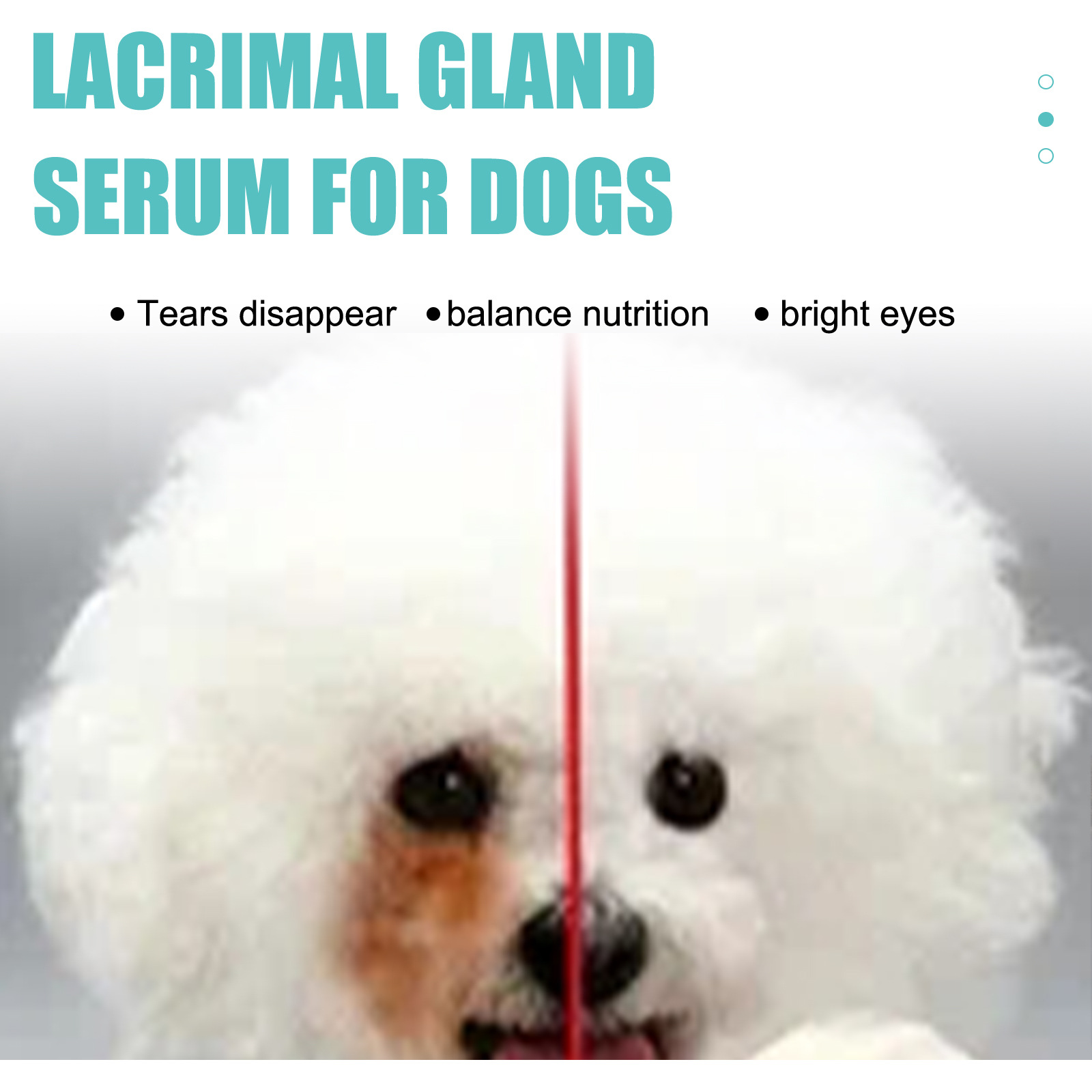 Sero para Secado de Lágrimas en Perros y Gatos - Solución Tópica para Ojos Brillantes — imagen 6