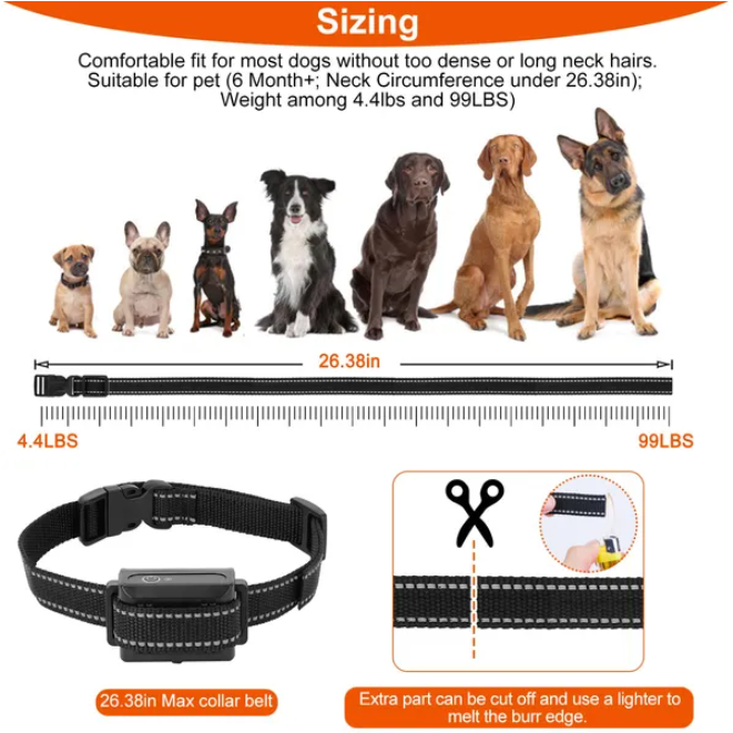 Receptor de Cinturón de Adiestramiento para Perros IP67 Resista Agua — imagen 2
