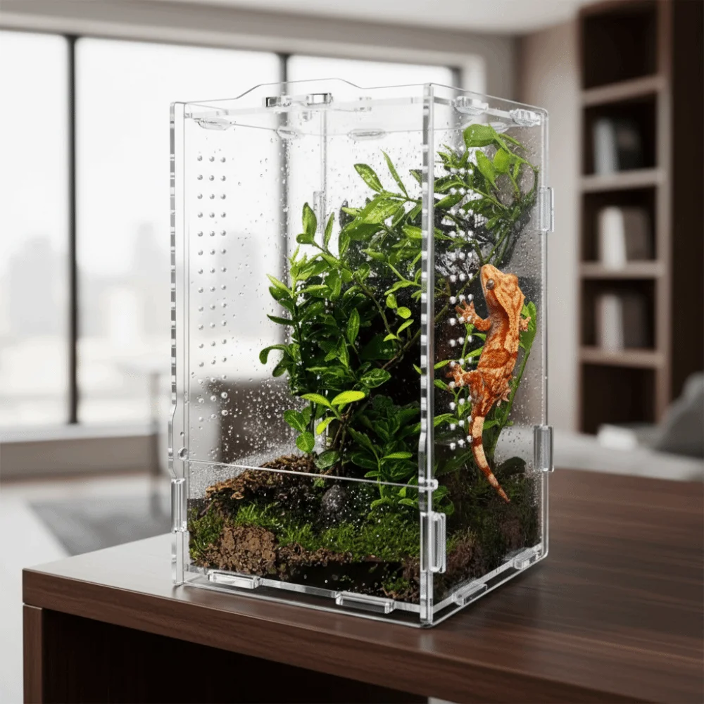 Transparent Reptile Feeding Box Anti-escape Ventilated Jumping Spider Terrarium Buckle Lock Acrylic Crawler Box — image 2