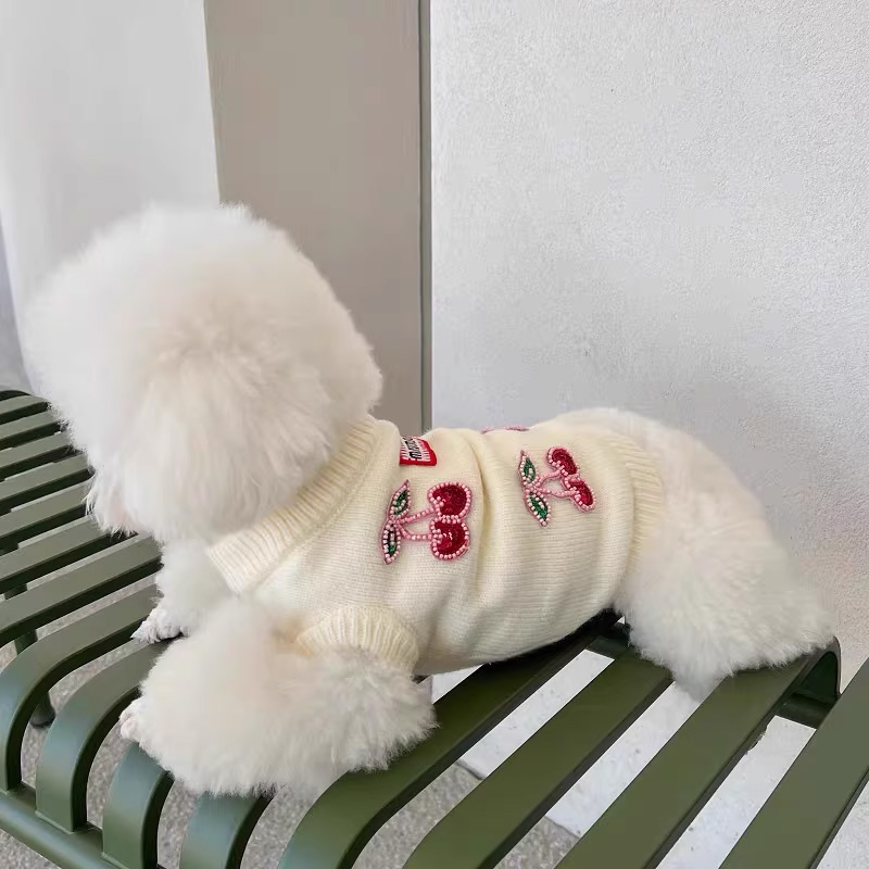 Teddy/Bichon/Maltese Winter Warm Sweater - Cute Fruit-Print Knit — image 6