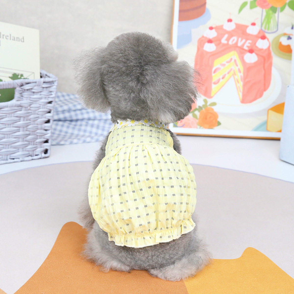 Ropa para Mascotas de Primavera y Verano - Ropa para Perros Pequeños - Vestimenta para Animales Domésticos — imagen 7