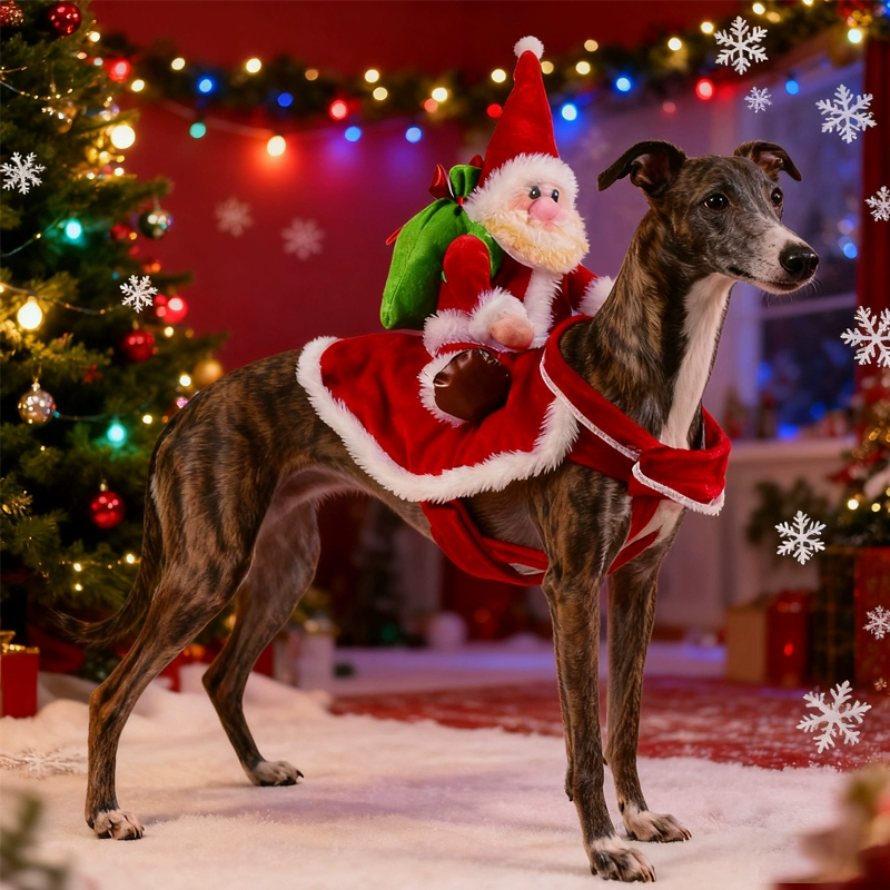 Disfraz de Navidad Divertido para Perros - Santa en un Vestido para Pequeños y Grandes Canes | Regalo de Fiestas y Año Nuevo — imagen 2