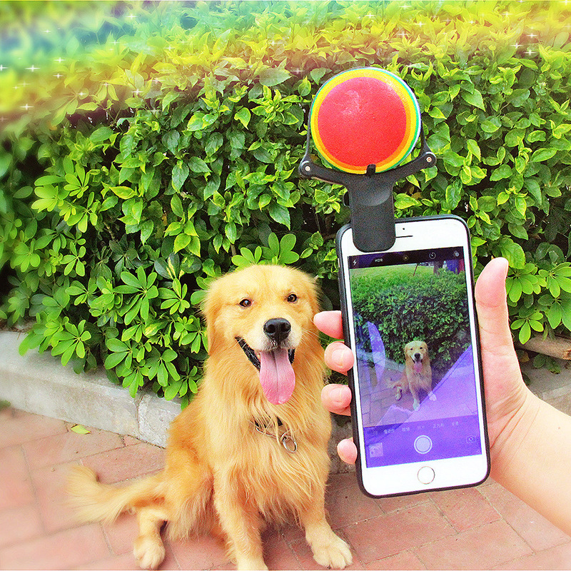 Pet photo props toy pet photo selfie artifact funny dog camera phone clip tennis selfie clip — image 1