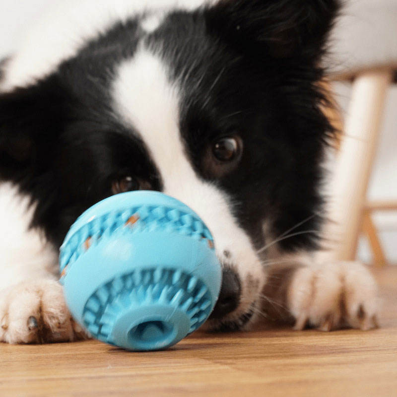 Pelota para Mascotas de Goma Natural para Limpieza de Dientes Pequeño-Medio Rompecabezas Inteligencia Pérdida de Alimento Juguetes para Perros en forma de Pelota — imagen 2
