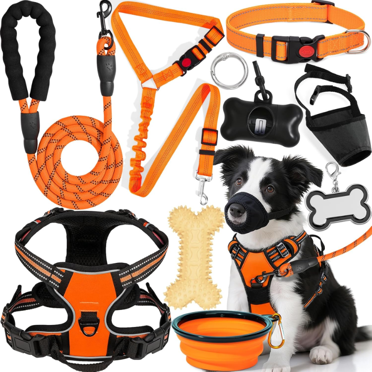 Dog Harness Collar And Leash Set - Dog Halter Harnesses Fits Small Medium Dogs Orange-M — image 1