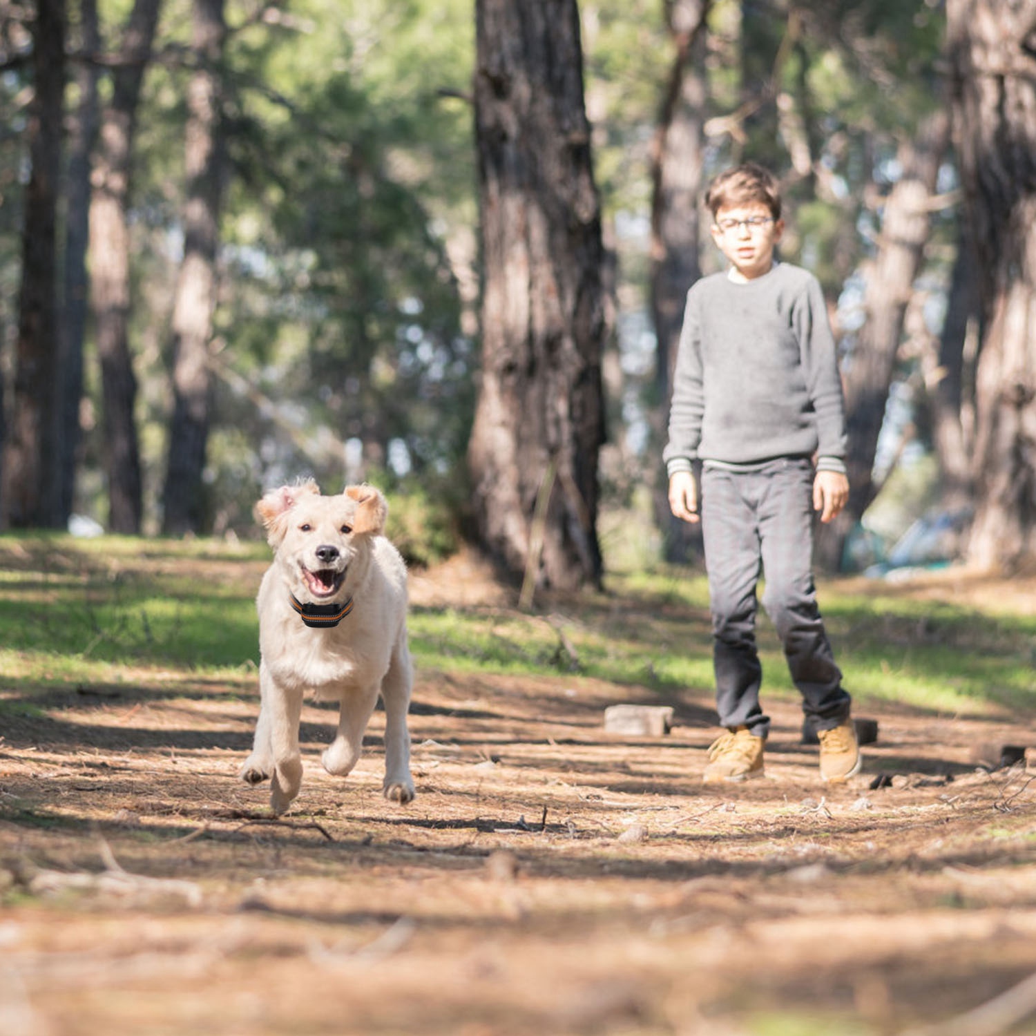 Rastreador GPS y Cerca para Perros 2 en 1 Cerca Inalámbrica GPS para Perros Collar GPS con Radio de 32-2887FT Impermeable IPX6 para Perros Pequeños, Medianos y Grandes — imagen 2