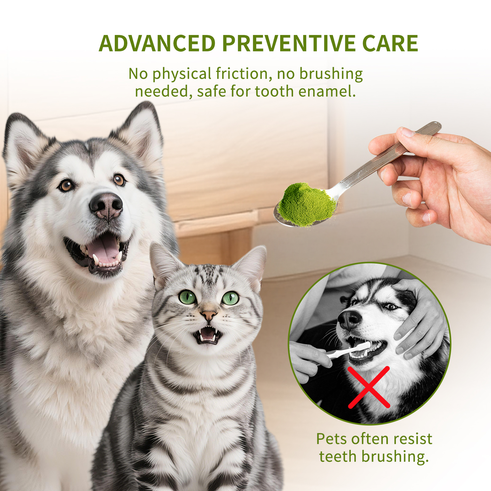Solo Recogida en Tienda - Pasta Dental para Gatos y Perros — imagen 14