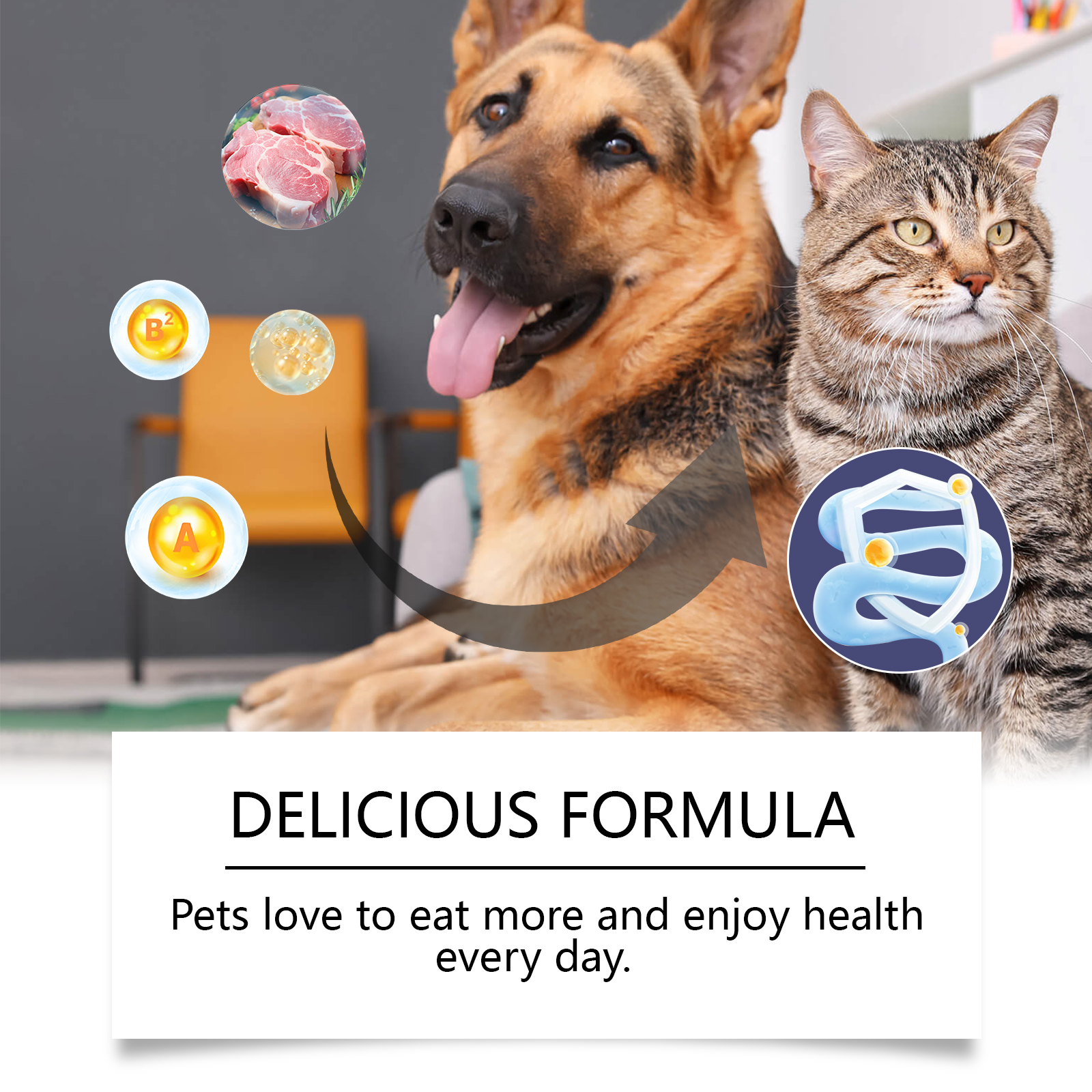 Cats And Dogs General Compound Probiotic Tablets, Pets Absorb Nutrition Supplement Tablets Dog And Cat Nutrition — image 5