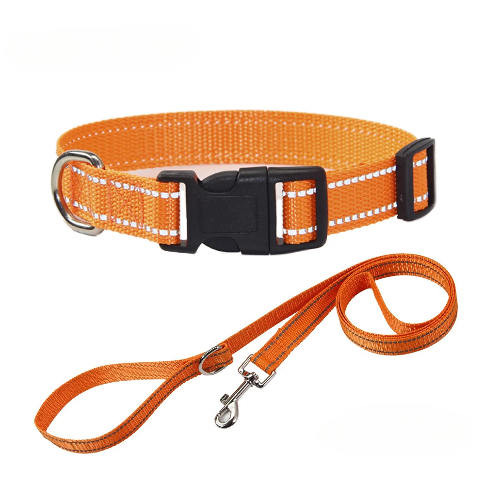 Conjunto de Cuello y Correa para Perros en Nylon - Accesorios para Mascotas Pequeñas, Medianas y Grandes — imagen 9