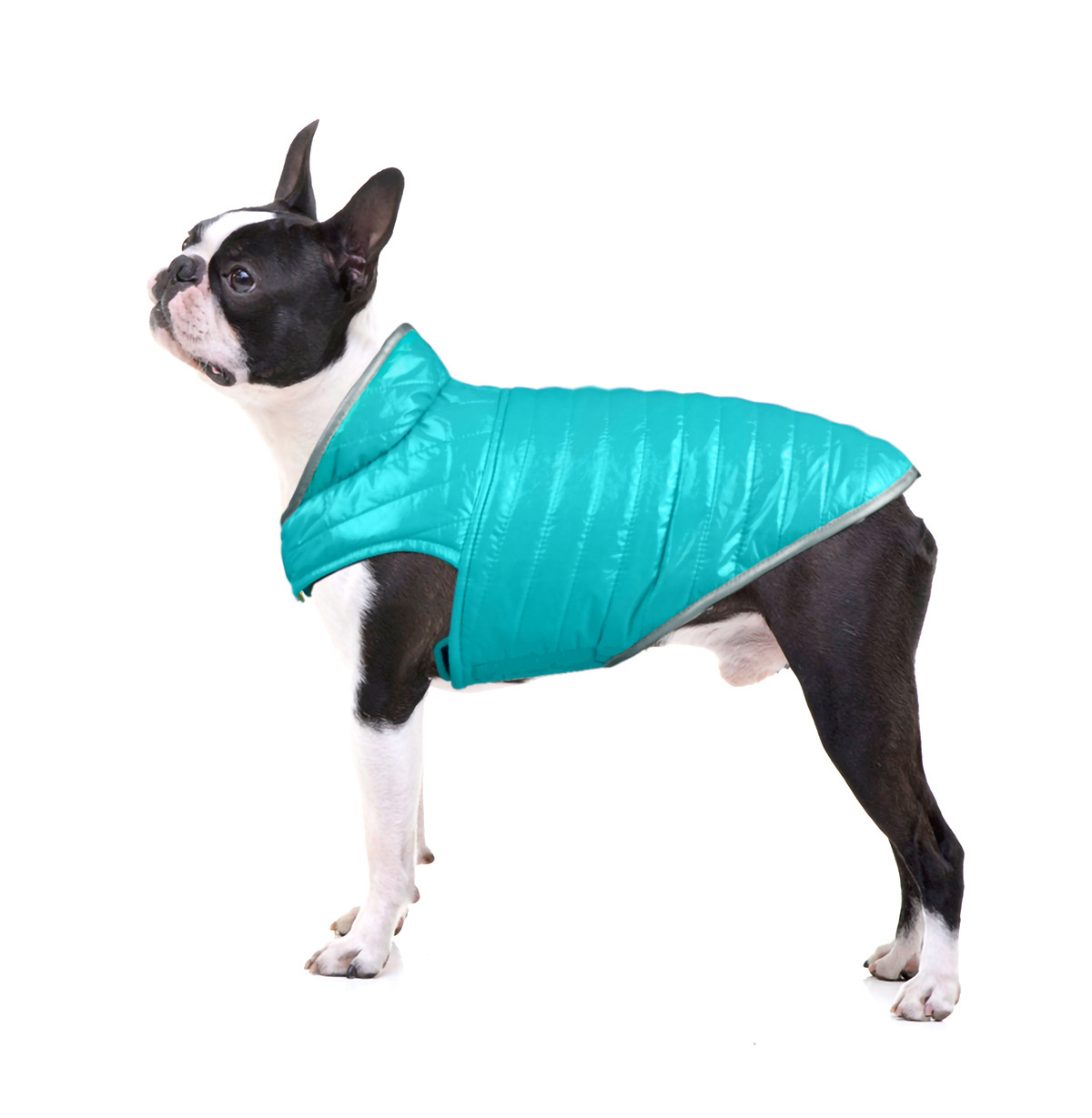 Ropa para Mascotas - Chaquetas de Perro Ligero, Doble Cara, Malla y Algodón con Colores Contrastes Reflectantes para Pequeños y Medianos Perros — imagen 3