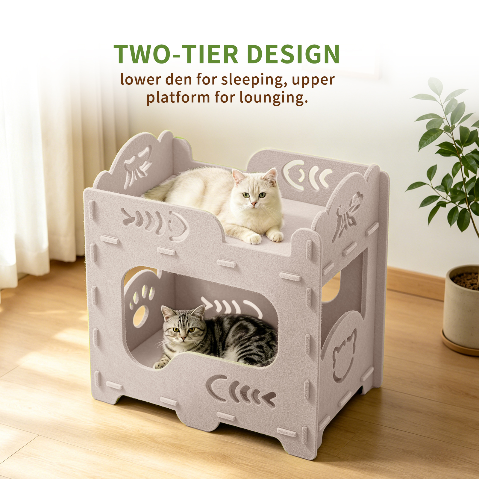 Solo Recogida en Tienda - Camita para Dos Gatos — imagen 7
