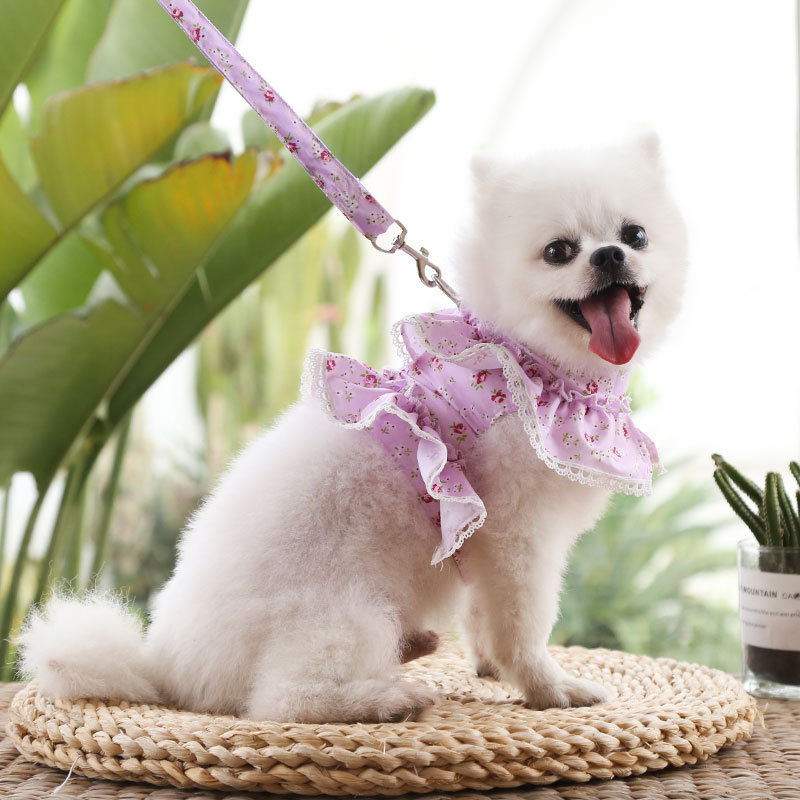 Dogs Cats Pets Clothes Chest Straps Traction Ropes Lace Teddy Bears Spring Summer Autumn Dog Rope Supplies — image 4