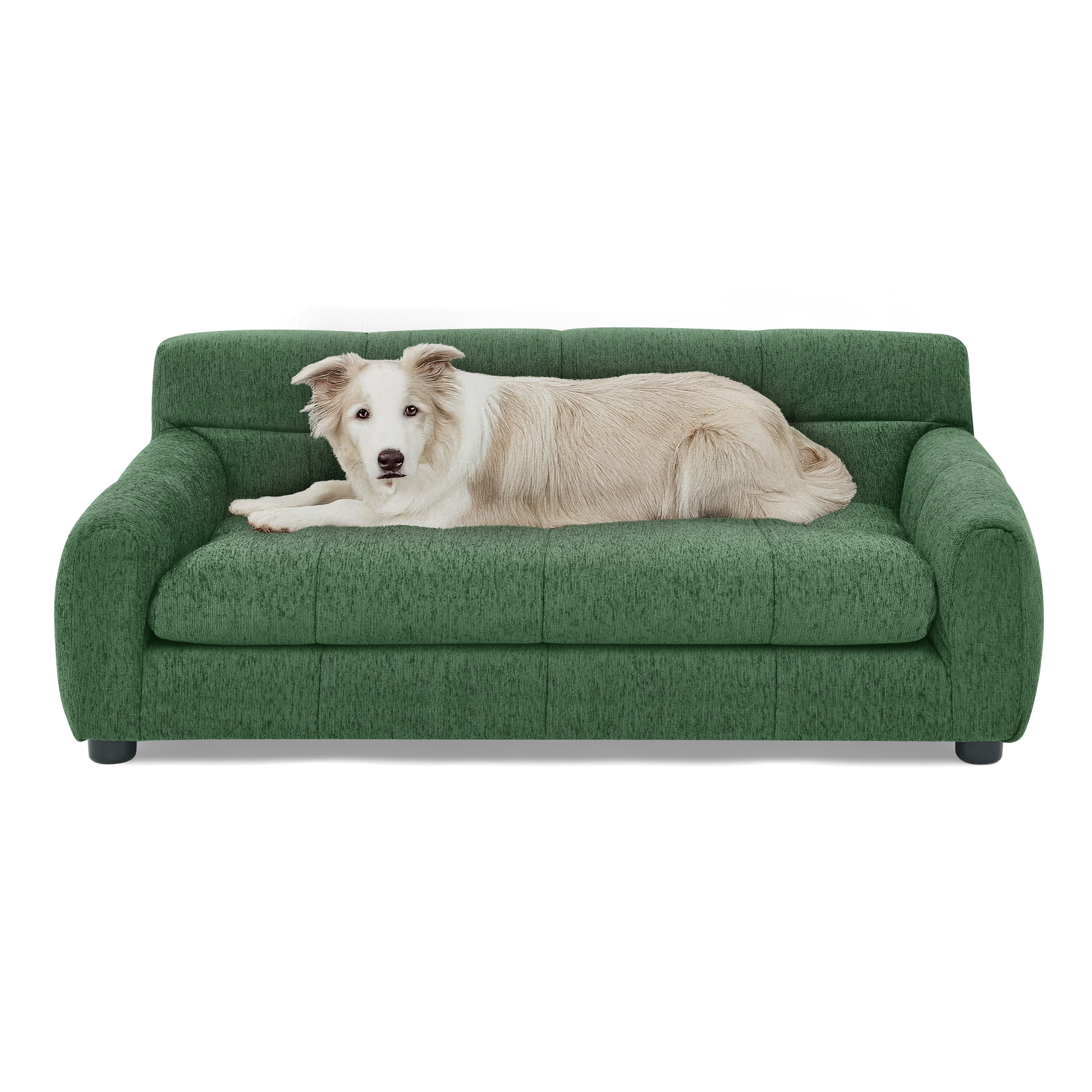 Sofá para Mascotas Suaves y Cómodos con Acompas y Espaldar, Ideales para Sofás Modernos Rectangulares para Perros Pequeños y Medianos de Color Verde — imagen 5
