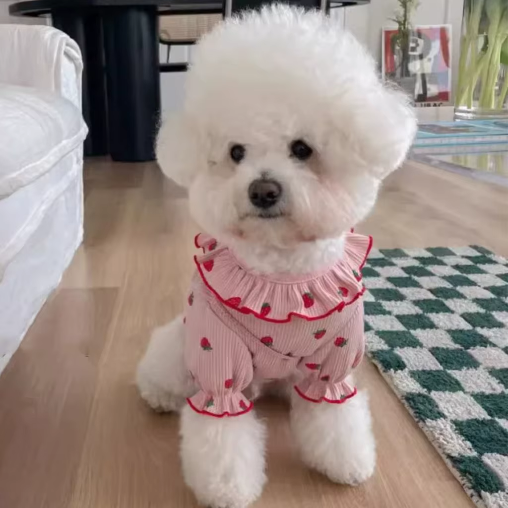 Ropa de Verano para Perros Pequeños - Vestido de Fresa con Manga Rizada para Gatos y Perros Chicos — imagen 4