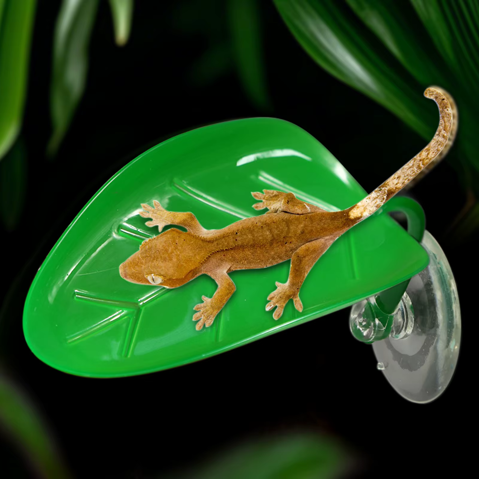 5pcs, simulated plant leaves with suction cups, suitable for geckos, chameleons, frogs to climb and inhabit — image 4