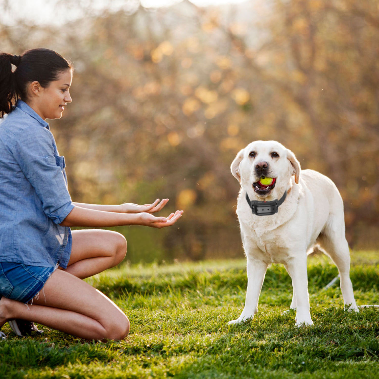 1 Juego de Cerca Eléctrica Inalámbrica para Perros de 328FT con Monitor de Ubicación GPS, Collar Receptor Recargable, Sistema de Cerca con Sonido y Vibración para Perros Pequeños, Medianos y Grandes — imagen 10